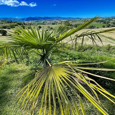 Sensational Views From 6 Apts, Sumptuous Gardens, Infinity Pool, Wifi Aircon Colle Umberto (Umbria)